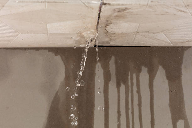 Professional Water Damage Inspection technician working in Bristol, FL